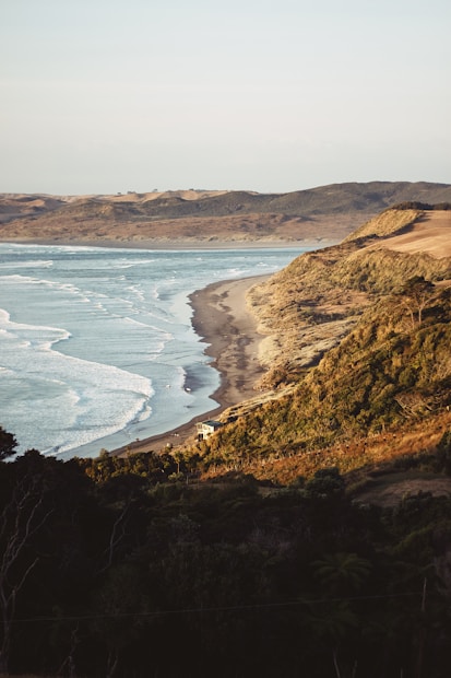 Survivor Experiences Service Cliff Image